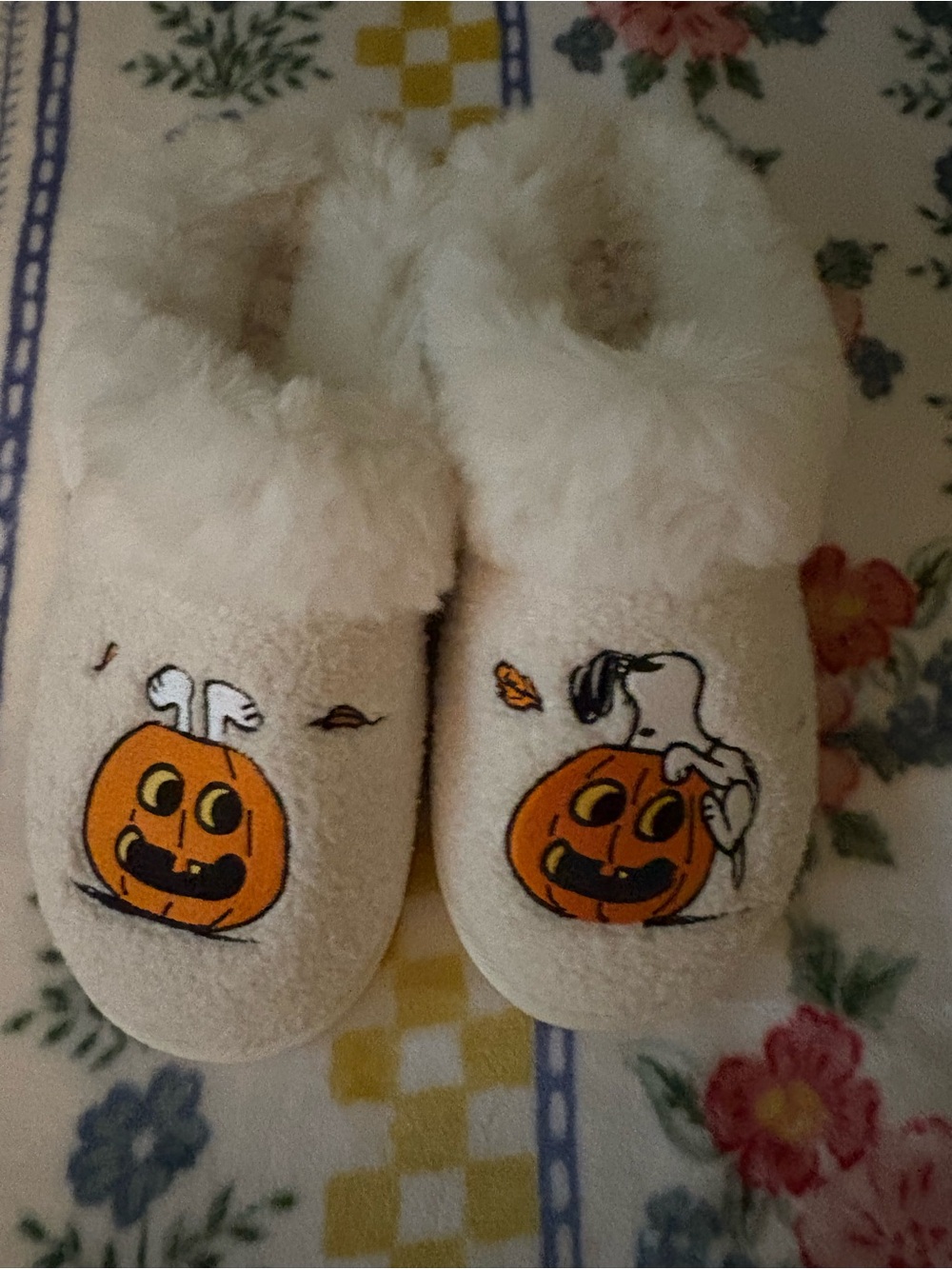 American Eagle Outfitters, fall snoopy slippers.